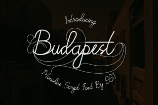 Budapest Font: A Web Designer’s Choice