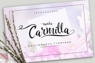 Carmilla: A Modern Script Font for Web Design