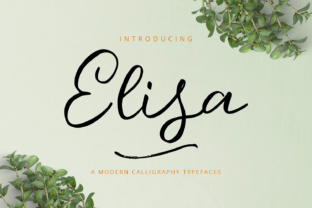 Elisa Font: A Playful Script for Makers