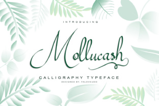Mollucash: A Hand Drawn Typeface for Editorial Design