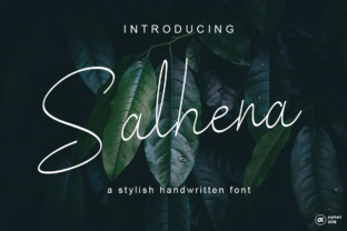 Salhena Font: A Designer’s Review for Campaigns