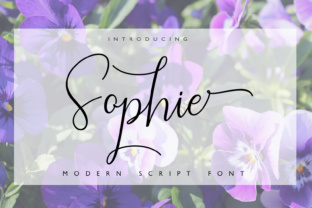 Sophie Typeface Review: Elegant Script for Modern Brands